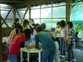 BBQ3