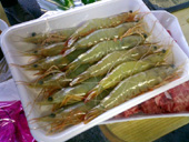 BBQ1