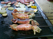 BBQ6